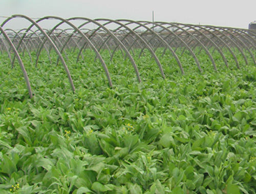 食堂承包-種植基地7丨食堂承包公司