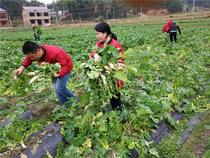 種植基地丨食堂承包公司